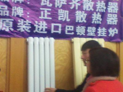 巢湖市巴頓壁掛爐價格_巢湖市巴頓壁掛爐_英國愛萊德熱能(巴頓掛壁爐)